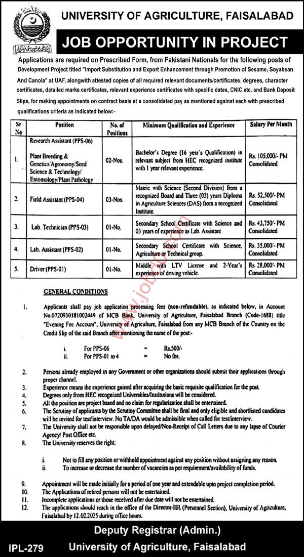 University of Agriculture UAF Jobs