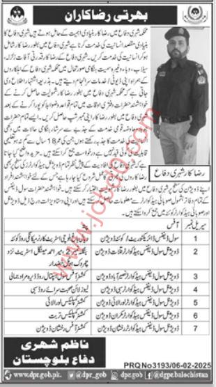 Directorate of Civil Defence Jobs